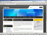 Web Site Indesing